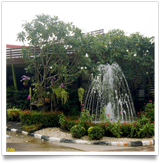 ผลงานออกแบบจัดทำสวนและน้ำพุุ โดย สหกิจบัณฑิต สุพรรณบุรี