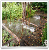 ผลงานออกแบบจัดสวนและน้ำตก โดย สหกิจบัณฑิต สุพรรณบุรี