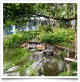 ผลงานออกแบบจัดสวนและน้ำตก โดย สหกิจบัณฑิต สุพรรณบุรี